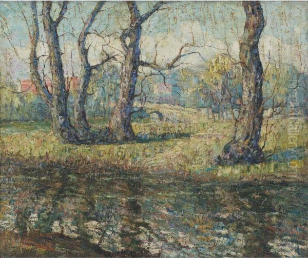 Old Willows - view 1