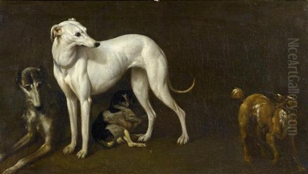 Greyhound. - view 1