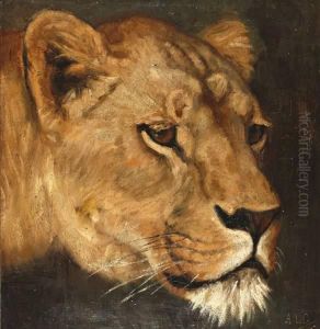 Leeuwin by August Le Gras