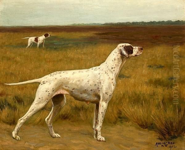 Ch. Noirhat Mdalia, A Pointer - view 1