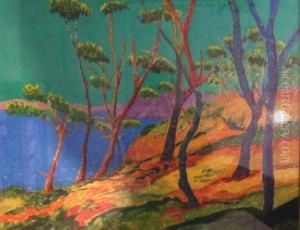 Le Sentier Du Douanier Parmi Les Pins