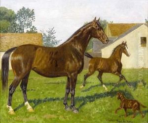 Jument Et Son Poulain Au Pre
