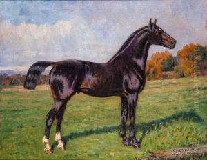Cheval, Cherbourg