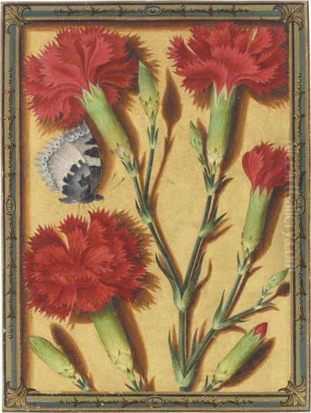 Clove Pinks And A Small Tortoiseshell Butterfly - view 1