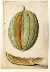 Study Of A Melon With A Slice Cut Out