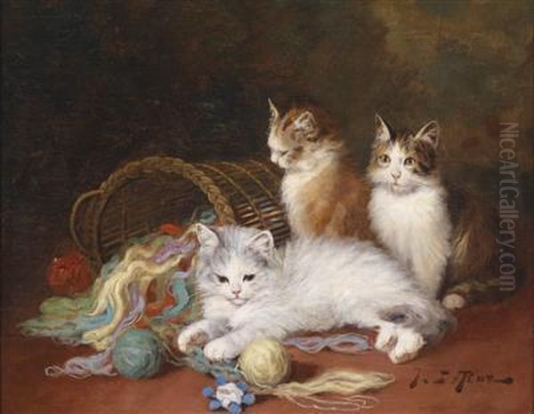 Cats - view 1