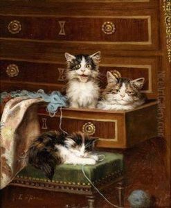 Kittens