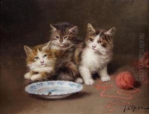 Chatons Et La Pelote De Laine