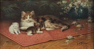 Chatte Et Chatons Sur Un Tapis