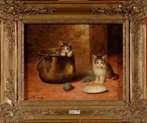 Chatons