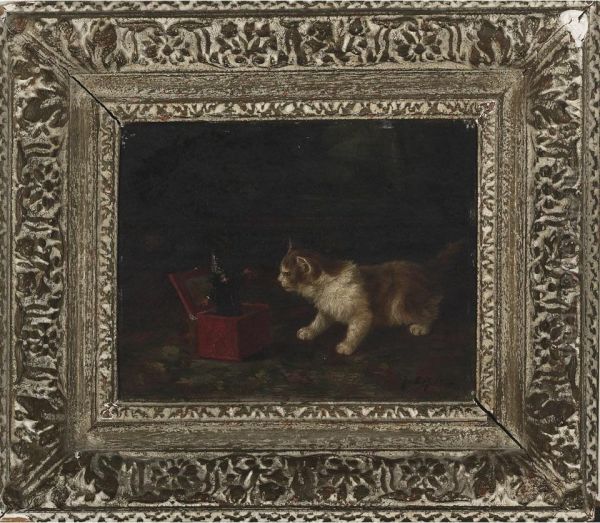 Kitten Surprised By The Jack In The Box - view 1