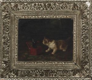 Kitten Surprised By The Jack In The Box