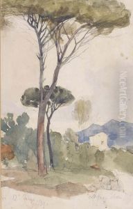 Cypress Trees by Edward Lear