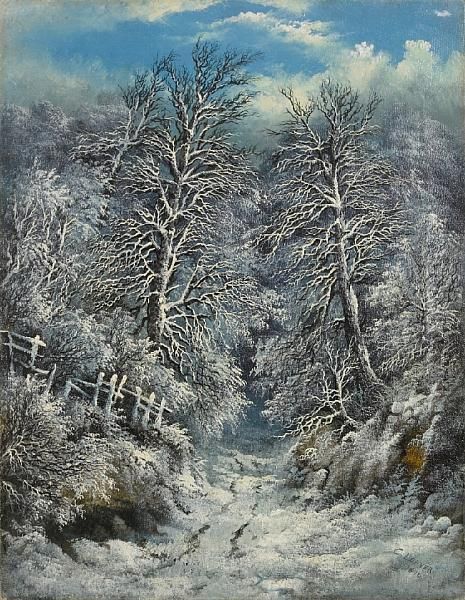A Snow Covered Forest - view 1