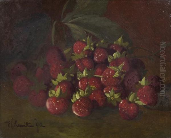 Strawberries - view 1