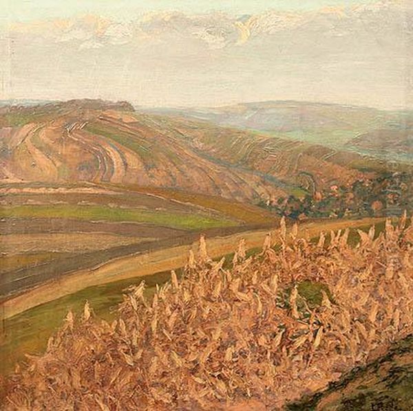 Corn Field - view 1