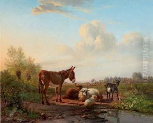 Cattle Resting By A Pool