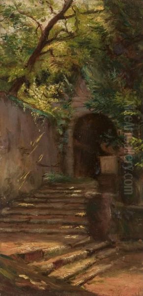 Sun-dappled Steps - view 1