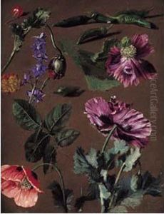 Etudes De Pavots by Edmond Lechevallier-Chevignard