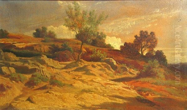 A Rocky Landscape In Strong Sunlight - view 1