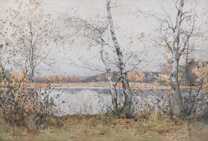Bouleaux Au Bord De L'eau