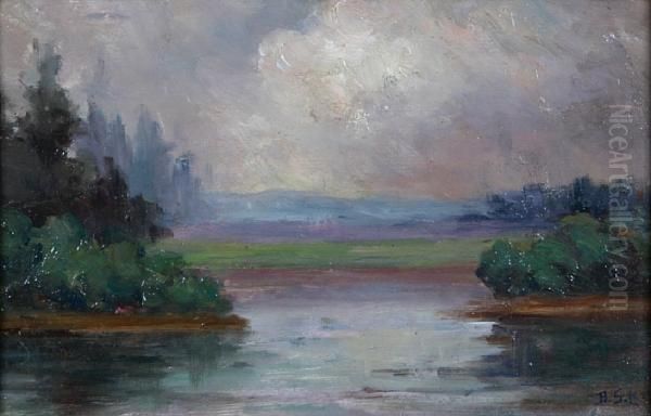 River Scene - view 1