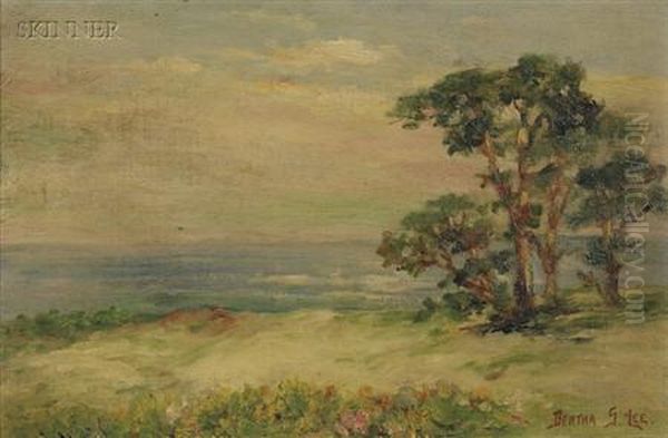 A View Of The Coast - view 1
