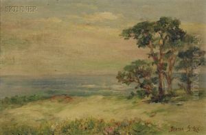 A View Of The Coast