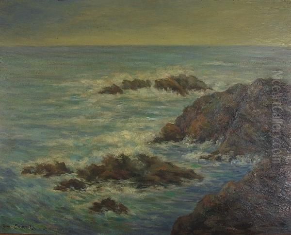 A Rocky Coastline - view 1