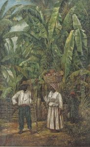 Caribbean Farmers Caribbean Farmers