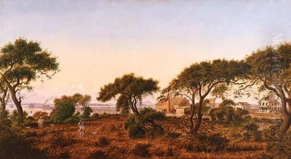 Bird's Hotel (bird's Point, Alameda) - view 1