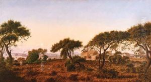 Bird's Hotel (bird's Point, Alameda)