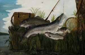 'a Good Day's Catch' 'a Good Day's Catch'