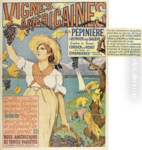 Vignes Americaines