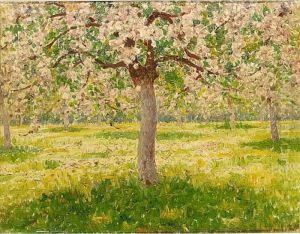 Blossom Trees