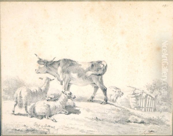 Vache Et Brebis - view 1