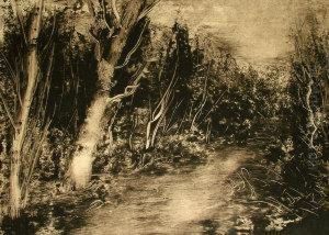 Wooded Landscape