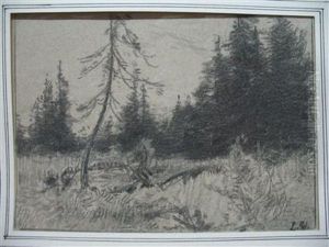 Waldlichtung