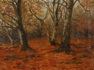 New Forest, November