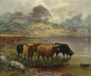 Highland Cattle by Rose J. Leigh