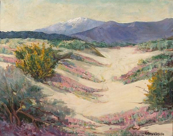 Desert Verbena - view 1