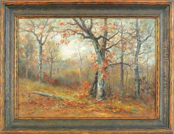 Wooded Landscape - view 1
