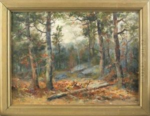 Landscape Landscape