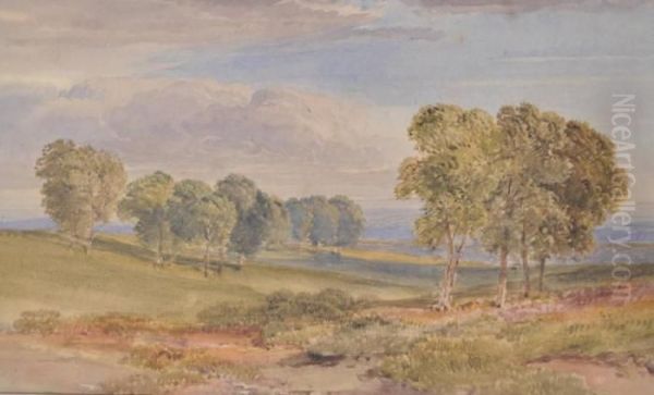 Extensive Landscape - view 1