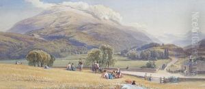 A Rest In The Fields
