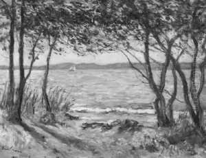 Uferlandschaft Mit Baumen An Einem See Uferlandschaft Mit Baumen An Einem See
