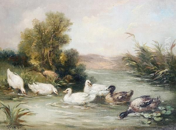 Ducks In A Pond - view 1