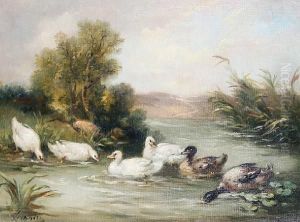 Ducks In A Pond by Louis Marie Lemaire