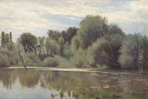 Auenlandschaft Mit Baumen Und Buschen.