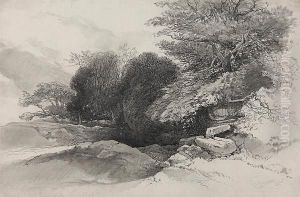 Boulders By The Edge Of A Wood by Robert Leman